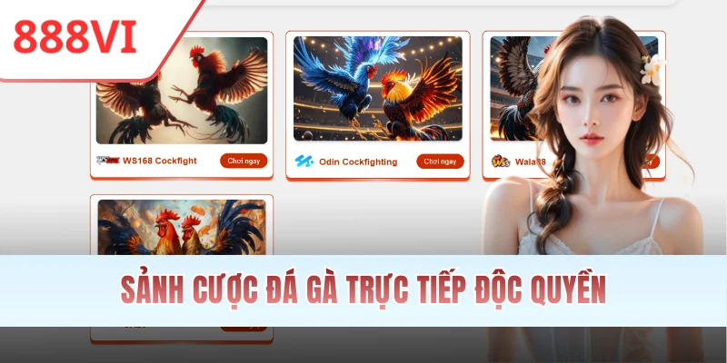 Sảnh cược đá gà trực tiếp độc quyền